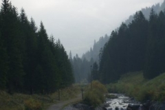 imgp1878