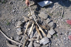 k-p1000465
