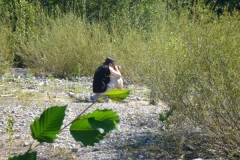 k-p1000486