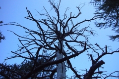 k-p1040699