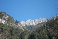 k-alpila-003
