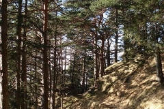 k-alpila-016