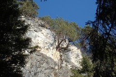 k-alpila-017