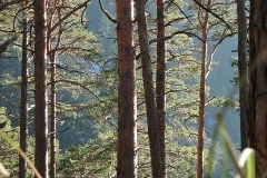 k-alpila-025