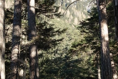 k-alpila-026