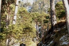 k-alpila-031