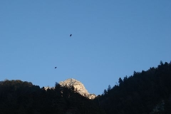 k-alpila-054